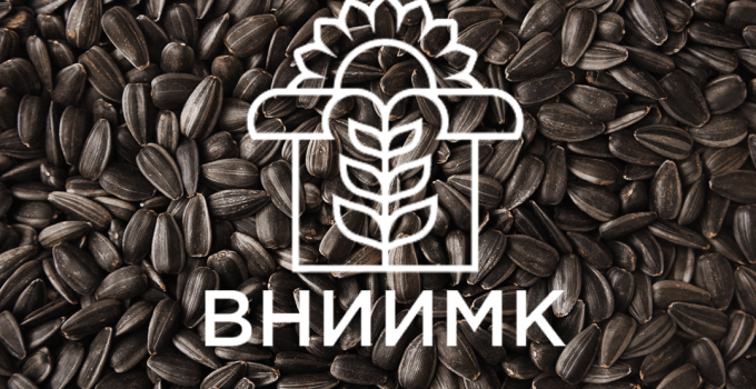 Семена подсолнечника ФГБНУ ФНЦ ВНИИМК