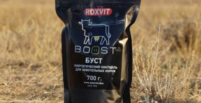 Премикс «BOOST» («БУСТ») (энергетический напиток для новотельных коров