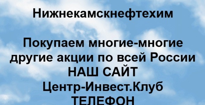 Покупка акций Нижнекамскнефтехим