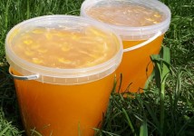 Мед и пчелопродукты с Алтая