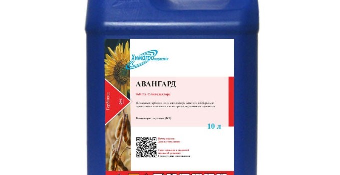 АВАНГАРД, КЭ