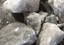 Соль лизунец серая