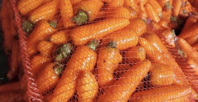 Продаем оптом лук репчатый, морковь