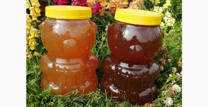 Мёд Алтайский. Урожай 2020 года, Алтайский край