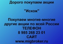 Покупка акций «Искож»