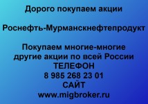 Покупка акций «Мурманскнефтепродукт»