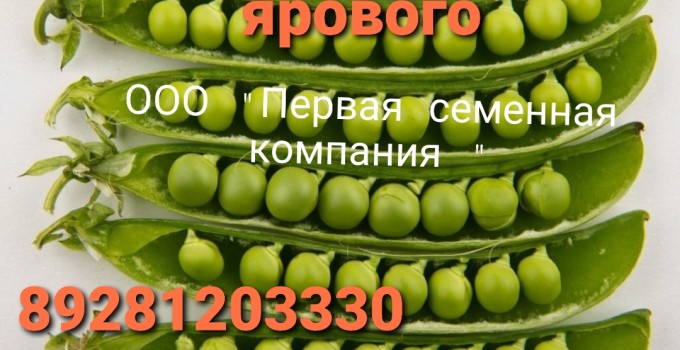 Семена гороха Нордман ЭС, Клеопатра, Лумп