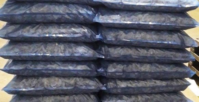 Шампиньоны быстрозамороженные резаные в п/э пакетах 25кг, производства Республики Беларусь, Москва