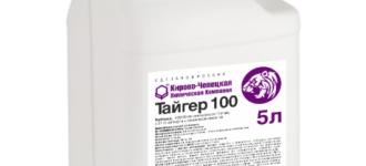 Тайгер 100, КЭ