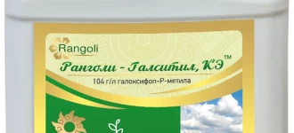 Ранголи-Галситил, КЭ