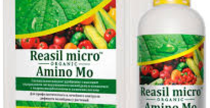 Реасил микро Амино Бор Молибден (Reasil  micro Amino B/Mo)