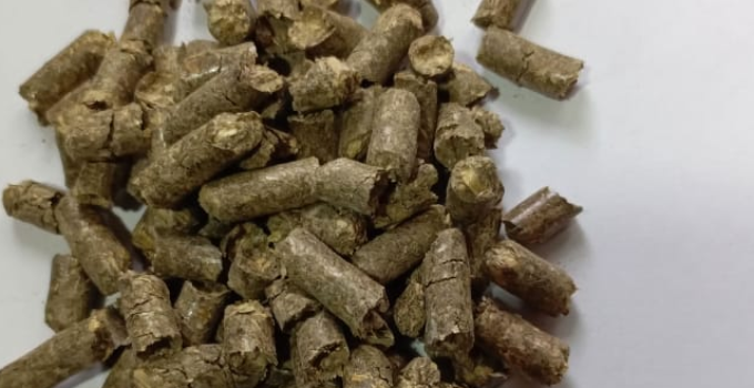 Отруби пшеничные зерноотход гранулированные