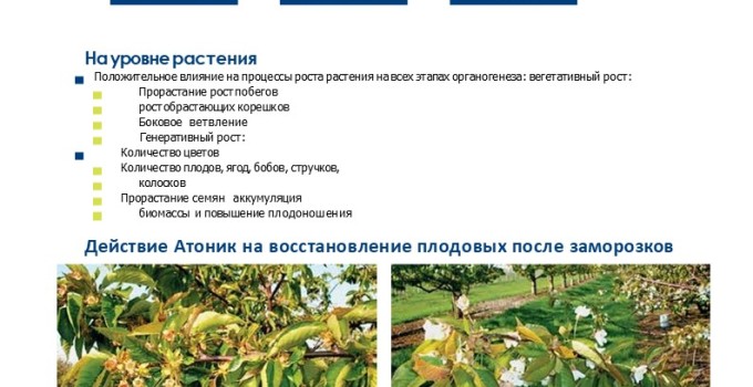 Атоник Плюс водорастворимый порошок 18 грамм нитрофенолат натрия