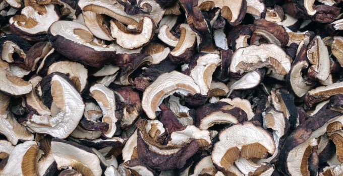 🍄 СУШЁНЫЕ ЛЕСНЫЕ ГРИБЫ ОПТОМ ОТ КОМПАНИИ "Грибной Алтай" 🌿