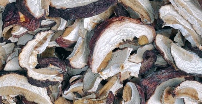 🍄 СУШЁНЫЕ ЛЕСНЫЕ ГРИБЫ ОПТОМ ОТ КОМПАНИИ "Грибной Алтай" 🌿