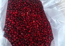 🍇 *СВЕЖЕЗАМОРОЖЕННЫЕ ЯГОДЫ ОПТОМ* 🍇ОТ КОМПАНИИ "Грибной Алтай"!