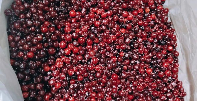 🍇 *СВЕЖЕЗАМОРОЖЕННЫЕ ЯГОДЫ ОПТОМ* 🍇ОТ КОМПАНИИ "Грибной Алтай"!