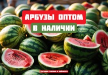 Арбузы оптом