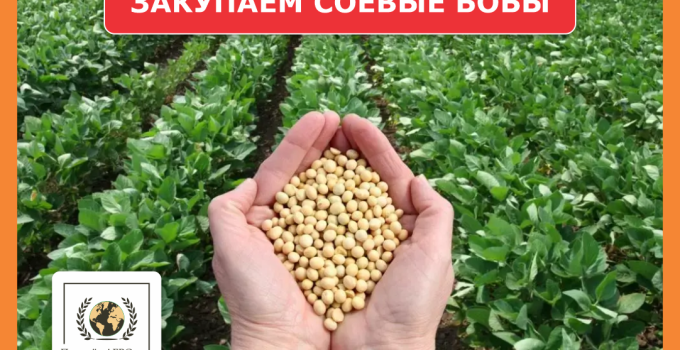 Закупаем соевое бобы