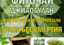 Фиточай Джиаогулан. Гинестемма пятилистная. Южный женьшень