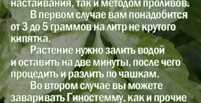 Фиточай Джиаогулан. Гинестемма пятилистная. Южный женьшень