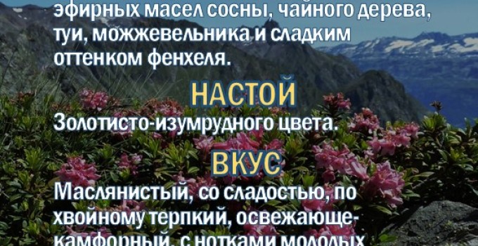 Фиточай Саган-Дайля. Белое Крыло