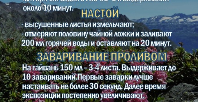 Фиточай Саган-Дайля. Белое Крыло