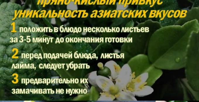 КАФФИР-ЛАЙМ. МАКРУТ. Лист сушеный
