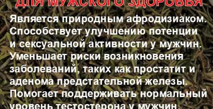 Функциональный купаж «КОРОЛЕВСКАЯ СТАТЬ» Зелёный чай №110 и Саган-дайля