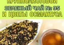 Функциональный купаж «Королева Вдохновения». Зелёный чай №95 и цветы Османтуса
