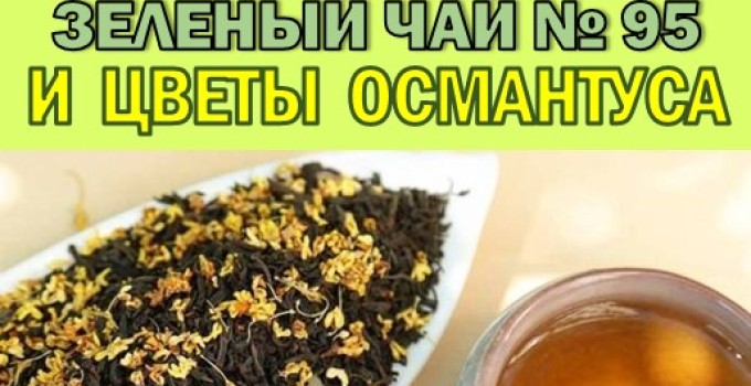 Функциональный купаж «Королева Вдохновения». Зелёный чай №95 и цветы Османтуса