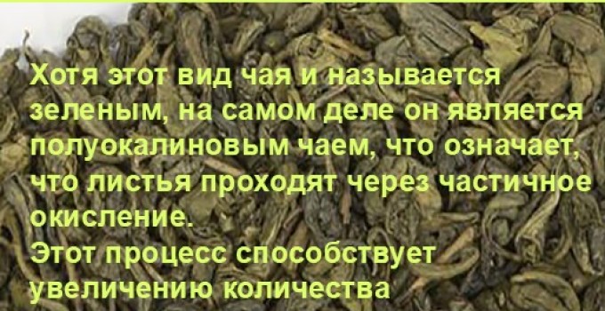 Функциональный купаж «Королева Вдохновения». Зелёный чай №95 и цветы Османтуса