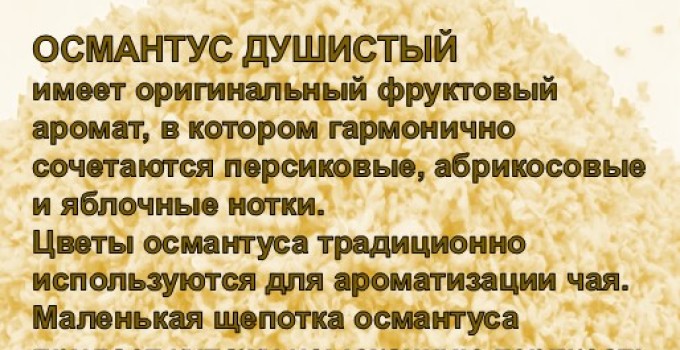 Функциональный купаж «Королева Вдохновения». Зелёный чай №95 и цветы Османтуса