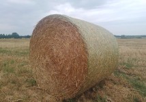 Солома