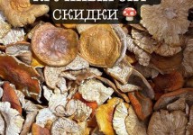 Красный мухомор