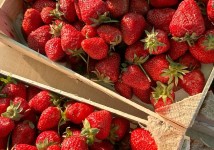 Клубника Крым/Краснодар Премиум