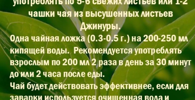 Фиточай Джинура Прокумбенс. ProGynuru.​ Гинура. Сушёный лист
