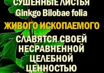 Функциональны чай. Листья Гинкго двулопастного Ginkgo Bilobae folia