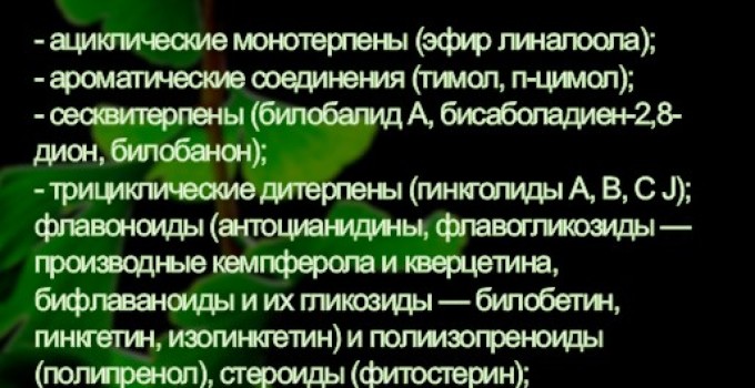 Функциональны чай. Листья Гинкго двулопастного Ginkgo Bilobae folia