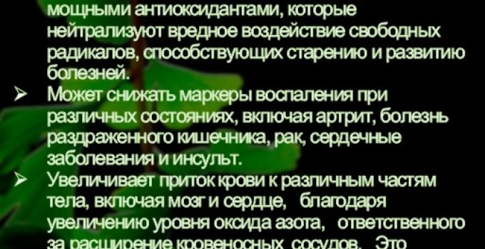 Функциональны чай. Листья Гинкго двулопастного Ginkgo Bilobae folia