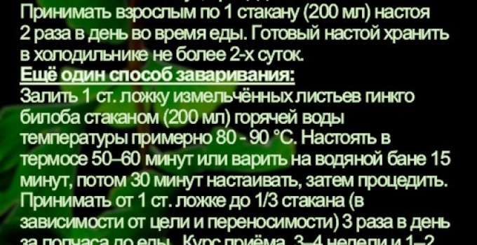 Функциональны чай. Листья Гинкго двулопастного Ginkgo Bilobae folia