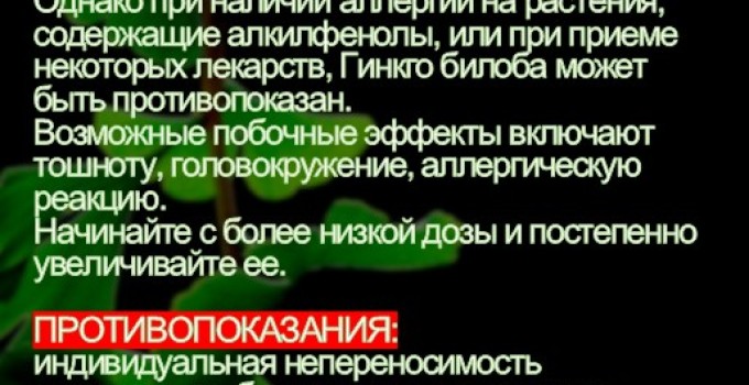 Функциональны чай. Листья Гинкго двулопастного Ginkgo Bilobae folia