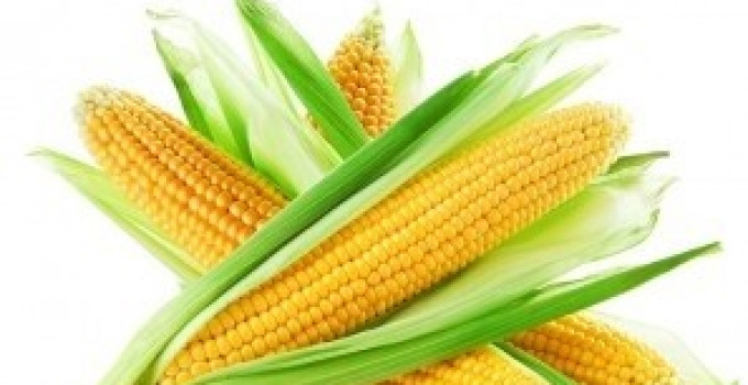 Реализуем кукурузу