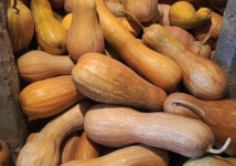 Продам или обменяю тыкву
