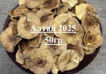 Шляпки Пантерный! Грибы сушеные! 2025 год!