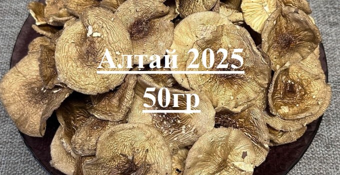 Шляпки Пантерный! Грибы сушеные! 2025 год!