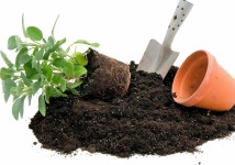 Почвогрунты