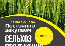 Закупаем сельхозпродукцию: зерно, пшеницу, подсолнечник