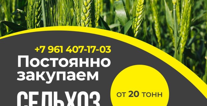 Закупаем сельхозпродукцию: зерно, пшеницу, подсолнечник