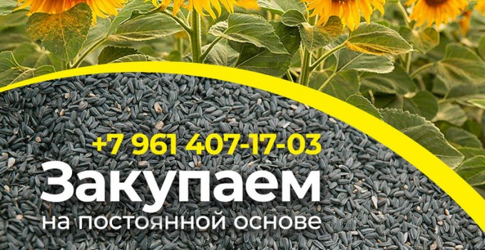 Закупаем сельхозпродукцию: зерно, пшеницу, подсолнечник